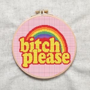 Patrón de punto de cruz divertido subversivo de arcoíris Bit#h Please, descarga instantánea en PDF