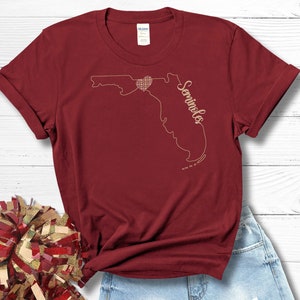 FSU shirt, Florida State, Seminoles t-shirt, Florida State University, Noles shirt, FSU football, FSU apparel, Seminoles, Garnet and Gold,
