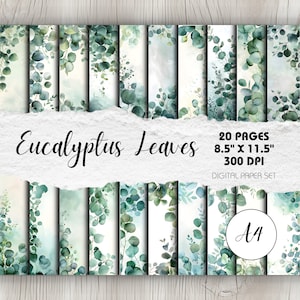 Könnte beinhalten: Ein digitales Papierset mit 20 Aquarellmustern von Eukalyptusblättern in Grün- und Weißtönen. Die Muster sind 8,5 Zoll mal 11,5 Zoll groß und haben eine Auflösung von 300 DPI. Der Text "Eucalyptus Leaves" und "A4" ist auf dem Bild zu sehen.