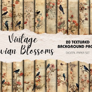Confezione da 20 sfondi quadrati - Bellissimi uccelli e fiori in stile vintage / Download digitale / Carta testurizzata per scrapbooking e diario spazzatura