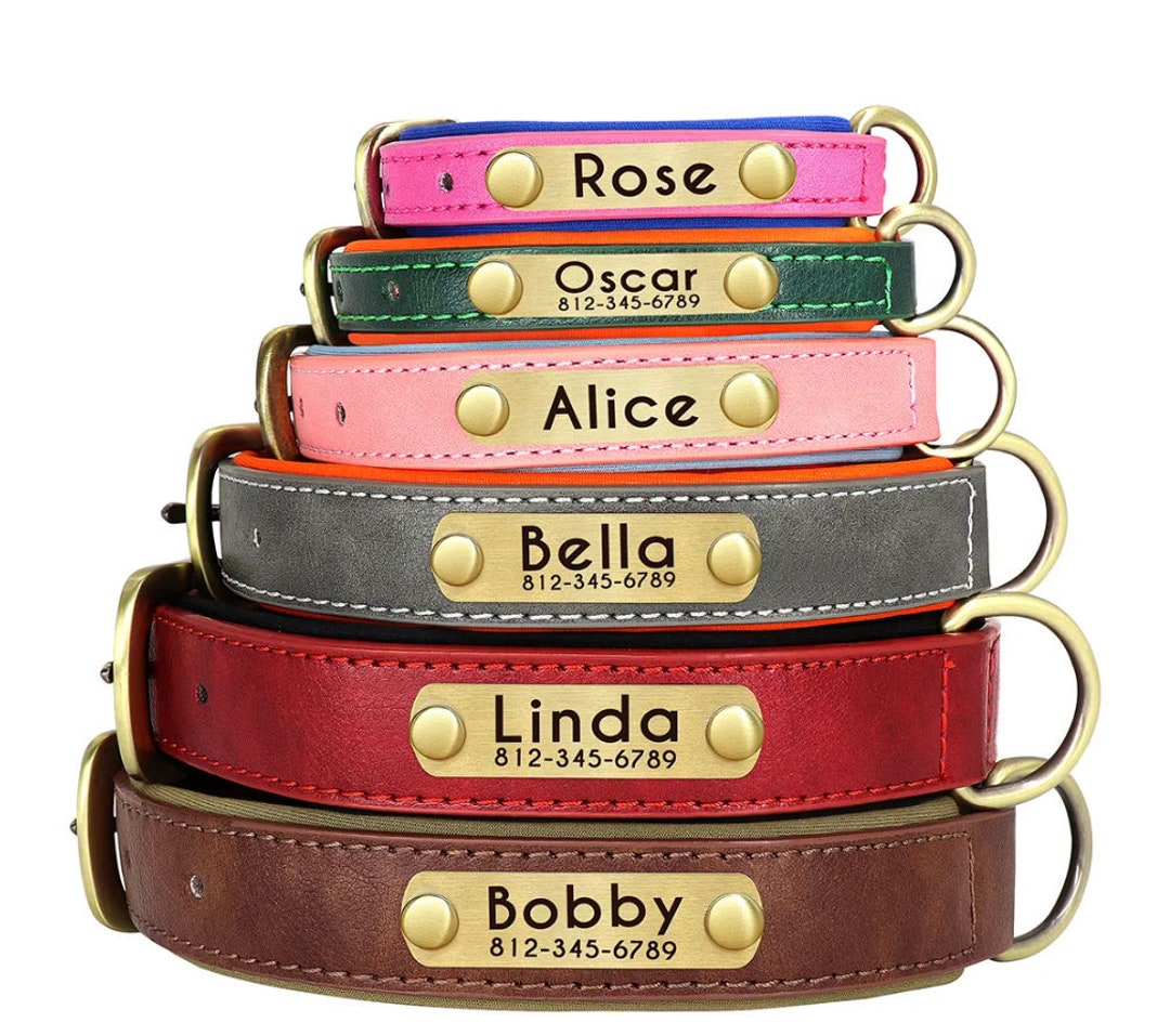 Customised Leather ID Nameplate Dog Collar Soft Padded Dogs Etsy
