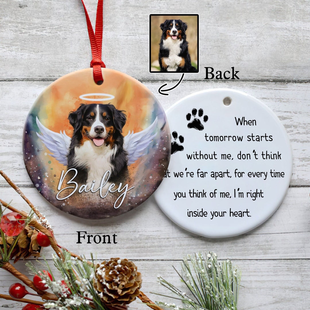 Custom Pet Memorial Photo Ornament, Angel Dog/cat With Wings Ornament ...