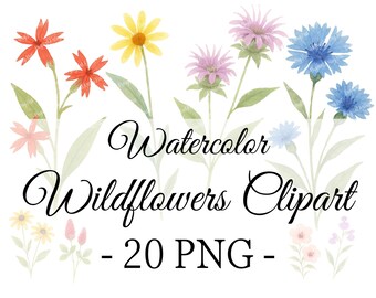 Clipart de flores silvestres en acuarela: conjunto de PNG florales bohemios (20 PNG)