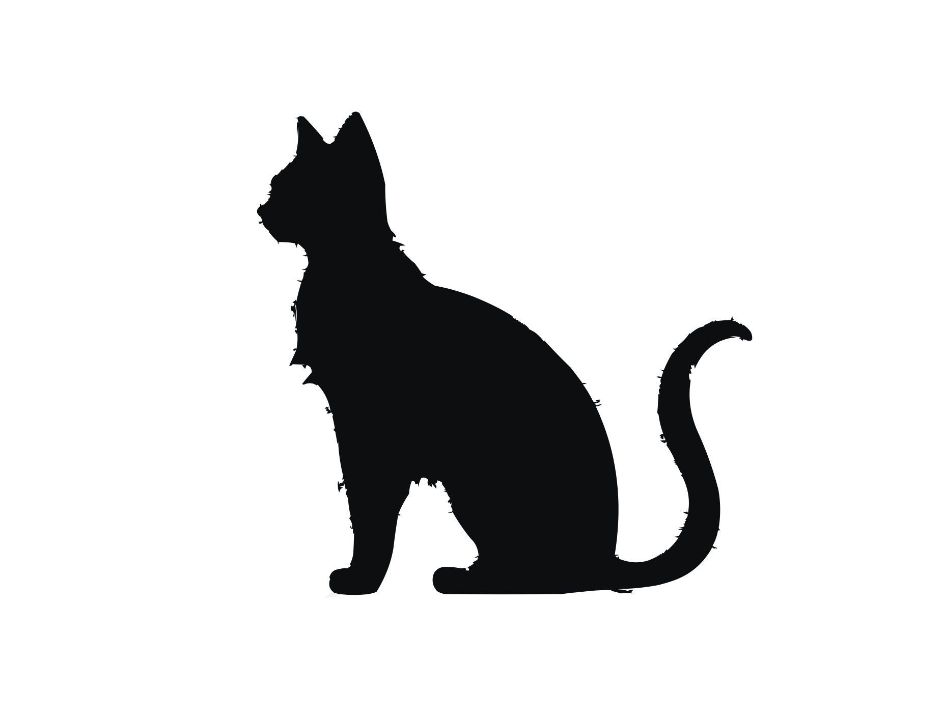 Cat Silhouette SVG Instant Download SVG, digital Download - Etsy