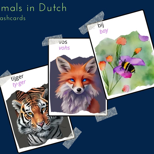 Dierenflitskaarten in het Nederlands: perfect voor het leren van talen - 54 kaarten