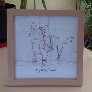PetMaps®