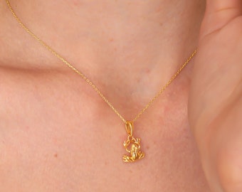 Frosch Halskette, Frosch Schmuck Anhänger, 18K Gold gefüllt Kröte Halskette, Glück Anhänger, Geschenk für Frosch-Liebhaber, Silber Frosch Halskette