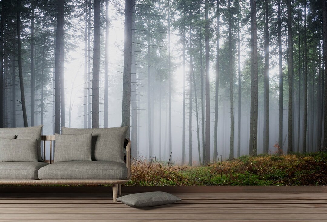 Misty Forest Wallpaper - Rainforest Mural - Removable Wallpaper - Peel ...