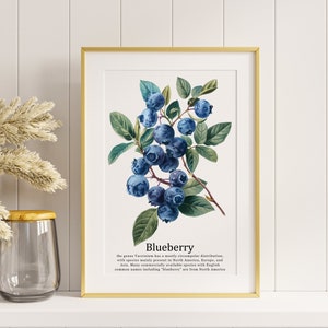 Impression d'art vintage myrtille, noyau de cottage, décoration murale de jardin, affiche botanique, peinture flore à imprimer, oeuvre d'art de fruits, oeuvre d'art de la nature