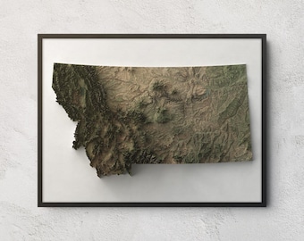 May include: A framed wall art piece featuring a detailed, three-dimensional topographic relief map of the state of Montana. The map displays varied terrain in shades of dark green, brown, and tan, set against a plain white background within a black frame.