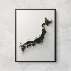 May include: A framed wall art piece featuring a three-dimensional, dark green topographical relief map of Japan centred on a plain white background. The map displays detailed mountain ranges and coastal geography within a thin, dark brown frame.
