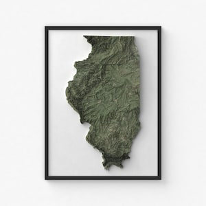 Impression de carte de l'Illinois | Art mural topographique moderne | Impression giclée d'affiche
