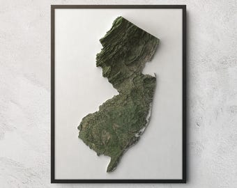 May include: A framed wall art piece featuring a three-dimensional, topographical relief map of the state of New Jersey. The map displays detailed terrain textures in shades of dark green, brown, and tan, set against a plain white background.