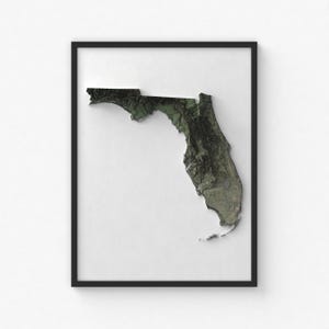 Impression de carte de Floride | Art mural topographique moderne | Impression giclée d'affiche