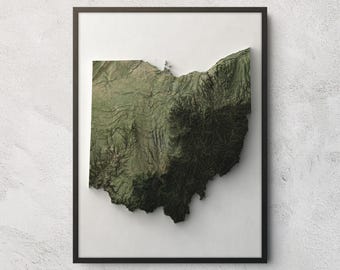 Könnte beinhalten: Ein gerahmtes Wandkunstwerk mit einer dreidimensionalen Reliefkarte des Bundesstaates Ohio. Die Karte zeigt detailliertes topografisches Gelände in verschiedenen Grün-, Oliv- und Brauntönen vor einem schlichten weißen Hintergrund.