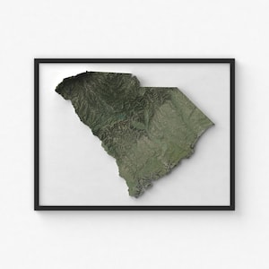 South Carolina Map Print | Modern Topographic Wall Art | Giclée Poster Print