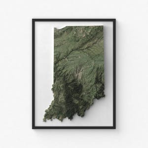 May include: A framed print of a 3D relief map of the state of Indiana. The map is green and shows the state's topography.