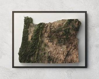 Puede incluir: Un mapa topográfico tridimensional enmarcado del estado de Oregón. El mapa en relieve presenta texturas detalladas que muestran cadenas montañosas boscosas verdes en el lado oeste y terreno árido marrón en el paisaje oriental.