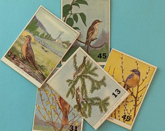 Tarjetas de bingo de lotería de pájaros vintage para scrapbooking (envío gratuito)