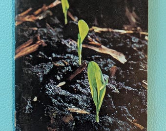 Guía de siembra de semillas de maíz DeKalb vintage (envío gratuito)