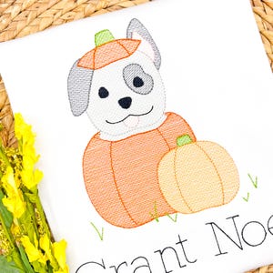 Puede incluir: Diseño bordado de un perro disfrazado de calabaza, con un sombrero a juego y una calabaza más pequeña. El perro es blanco con orejas grises y una mancha negra. Las calabazas son naranjas y amarillas. El texto "Grant Noe" está en la parte inferior.