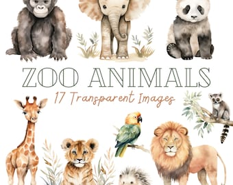 Zoo Animal Clipart, Safari Animal Clipart, Cute Animals Clipart, Monkey Clipart, Lion Clipart, Zoo Animal Clip Art, Baby Animals Clipart