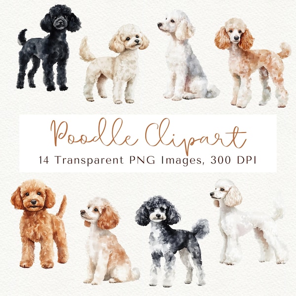 Cute Poodle Clipart Bundle, Dog PNG Images (Digital Download)