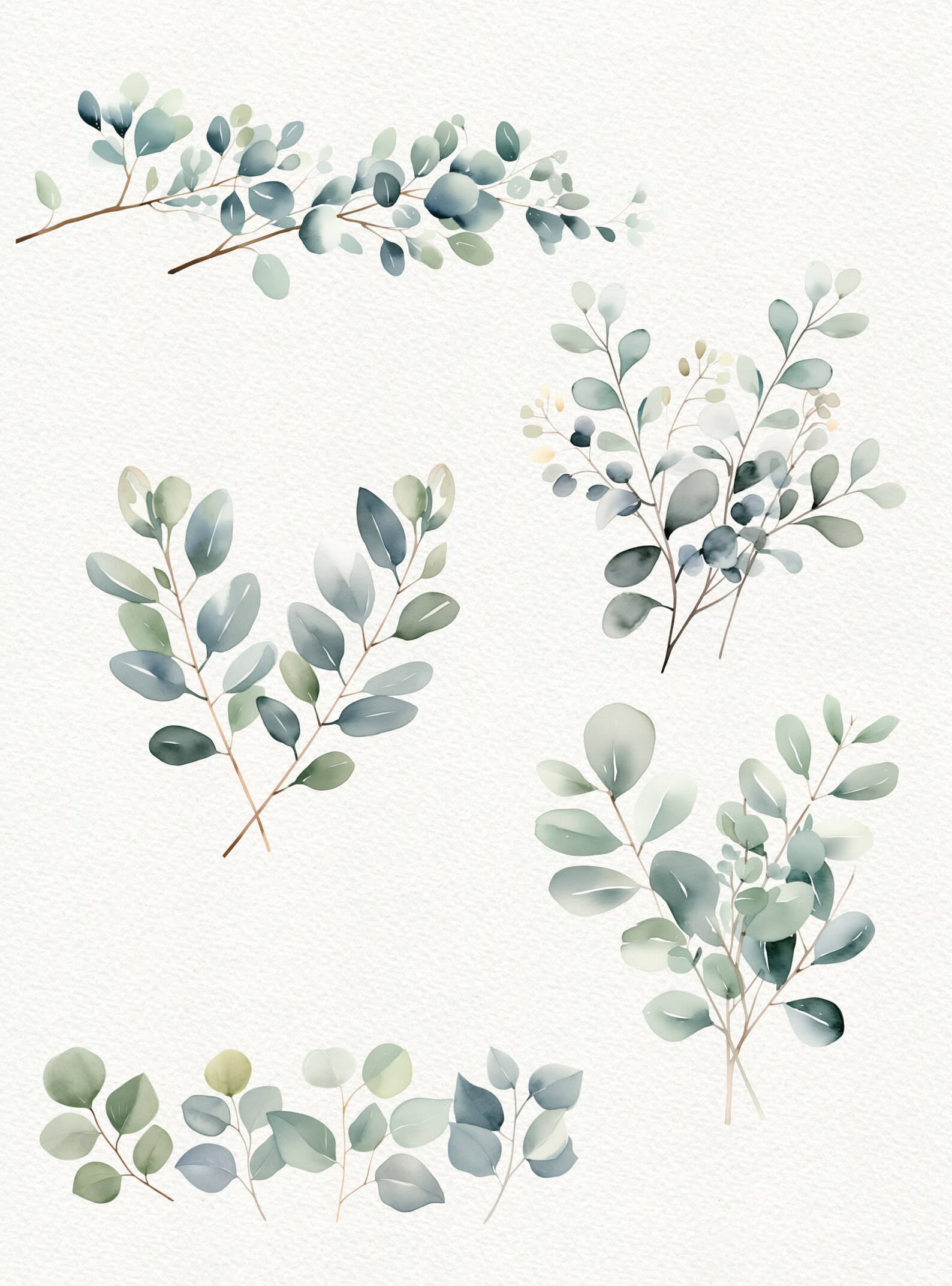 Watercolor Eucalyptus Clipart: Greenery PNG Images (digital Download ...
