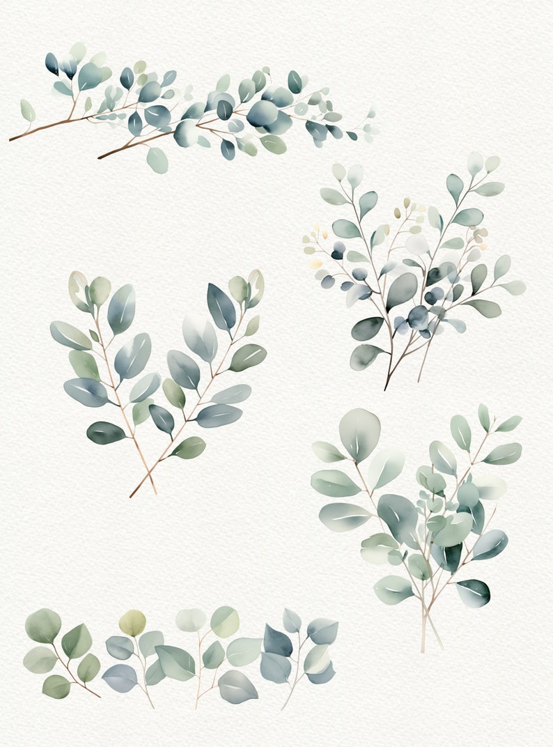 Watercolor Eucalyptus Clipart: Greenery PNG Images (digital Download ...