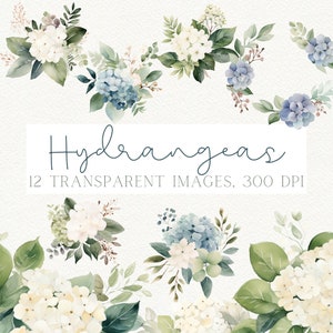 Hortensie Clipart, weiße Hortensie Clipart, blaue Hortensie, Blumen Clipart, Aquarell Hortensie PNG, Hochzeit Clipart, blaue Blumen PNG