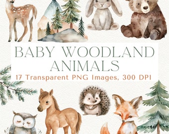 Imágenes prediseñadas de animales del bosque en acuarela: 17 imágenes PNG (descarga digital)