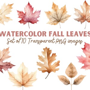 Watercolor Fall Leaves Clipart, Fall Clipart Bundle, Fall Leaves PNG, Autumn Clipart, Autumn Leaves, Leaf Clipart, Fall Clip art