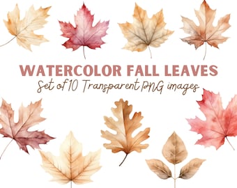 Aquarell Herbstlaub Clipart: Herbst PNG Bundle (Digitaler Download)