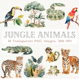 Dschungel Clipart, Dschungel Tiere Clipart, Safari Clipart, Dschungeltiere, Affe Clipart, Tiger Clipart, Boho Dschungel Clipart, Dschungel PNG