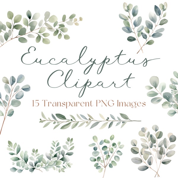 Eucalyptus Clipart, Eucalyptus Leaves Clipart, Eucalyptus Watercolor Clipart, Greenery Clipart, Eucalyptus PNG, Botanical Clipart