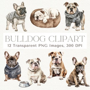 Bulldogge Clipart, Englische Bulldogge Clipart, Französische Bulldogge Clipart, Süße Bulldogge Clipart, Hund Clipart, Französische Bulldogge PNG, Bulldogge PNG