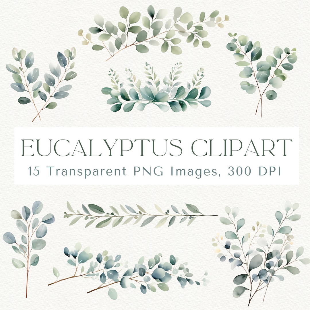 Watercolor Eucalyptus Clipart: Greenery PNG Images (digital Download ...
