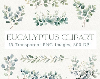 Watercolor Eucalyptus Clipart: Greenery PNG Images (Digital Download)