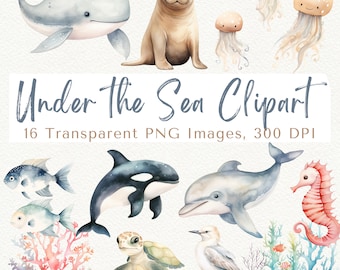 Watercolor Sea Life Clipart: Ocean Animals, Whales, Coral (PNG Digital Download)