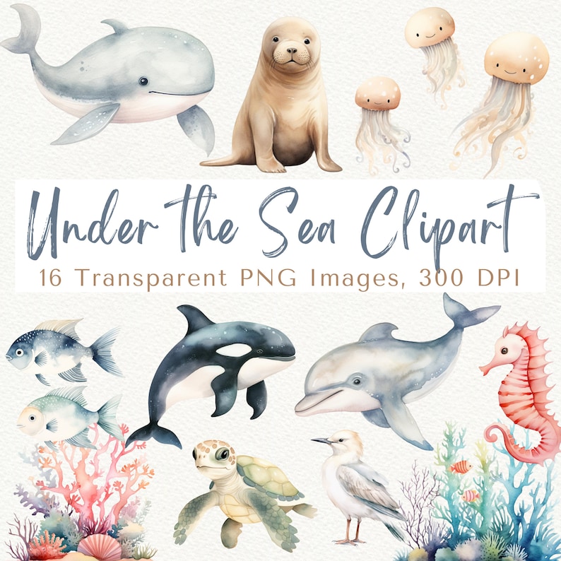 May include: A set of 16 watercolor illustrations of sea creatures, including a whale, seal, jellyfish, orca, dolphin, sea turtle, seagull, seahorse, and coral. The illustrations are in a cartoon style and are perfect for use in digital scrapbooking, card making, or other creative projects. "Under the Sea Clipart" and "16 Transparent PNG Images, 300 DPI" are written in the image.