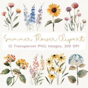 Flores de verão, clipart de flores, clipart de verão, clipart de girassol, clipart botânico, PNG de flores silvestres, PNG floral, clipart de flores silvestres
