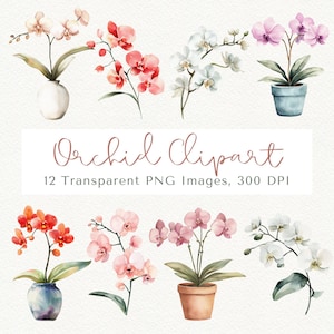 Orchid Clipart: Pink Floral PNG Images (Digital Download)
