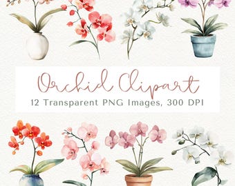 Orchid Clipart: Pink Floral PNG Images (Digital Download)