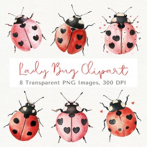 Clipart Coccinella, PNG Coccinella, Clipart Insetto, Clipart Insetto, Coccinella Carina, Coccinelle Carine, Clipart Estate, Clipart Natura, Coccinella Di San Valentino