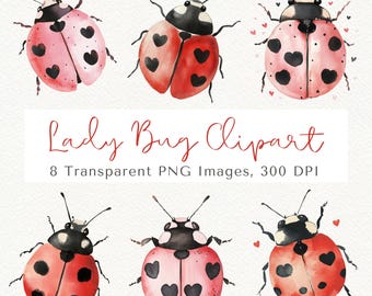 Ladybug Clipart, Summer Bug PNG Images (Digital Download )