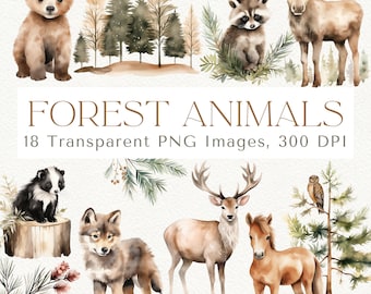 Watercolor Forest Animal Clipart: Woodland PNG Images (Digital Download)