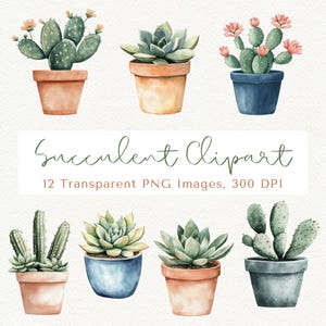 Imágenes prediseñadas de suculentas, imágenes prediseñadas de cactus, imágenes prediseñadas de suculentas PNG, imágenes prediseñadas de plantas, imágenes prediseñadas de suculentas, imágenes prediseñadas florales, imágenes prediseñadas botánicas, imágenes prediseñadas de vegetación