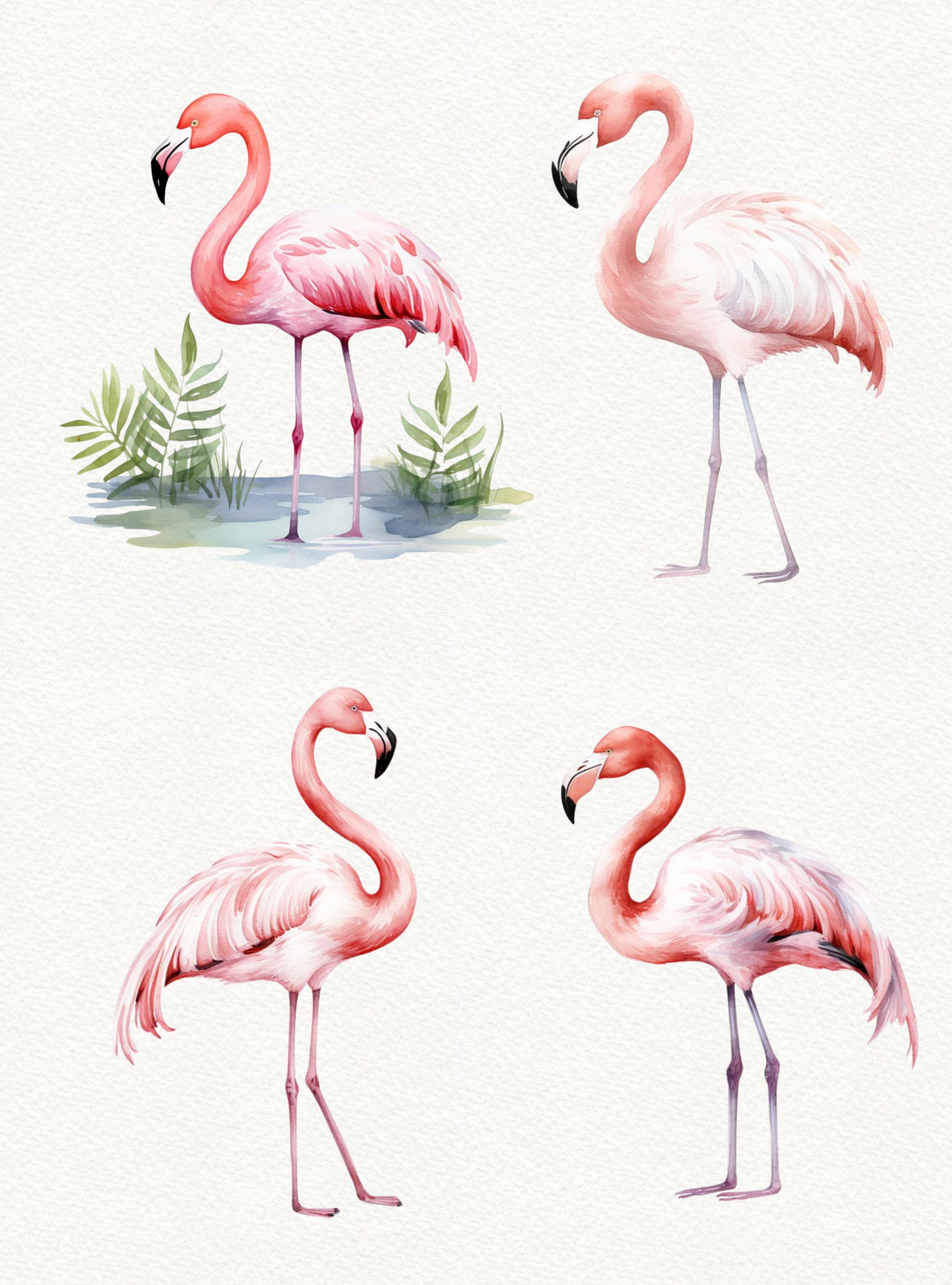 Flamingo Clipart: Tropical Flowers & Palm Leaves (14 PNG Images) - Etsy