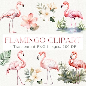 Flamingo Clipart: Tropical Flowers & Palm Leaves (14 PNG Images)