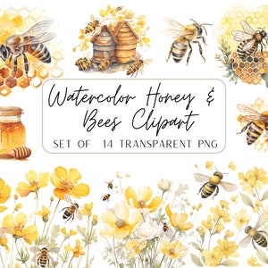  Cute Wild Honey Trending, Vintage Flowers Bee Comb Artwork  Pullover Hoodie : Clothing, Shoes & Jewelry